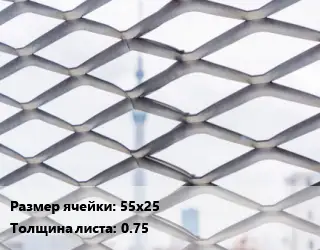 Сетка ЦПВС 55х25 s=0.75